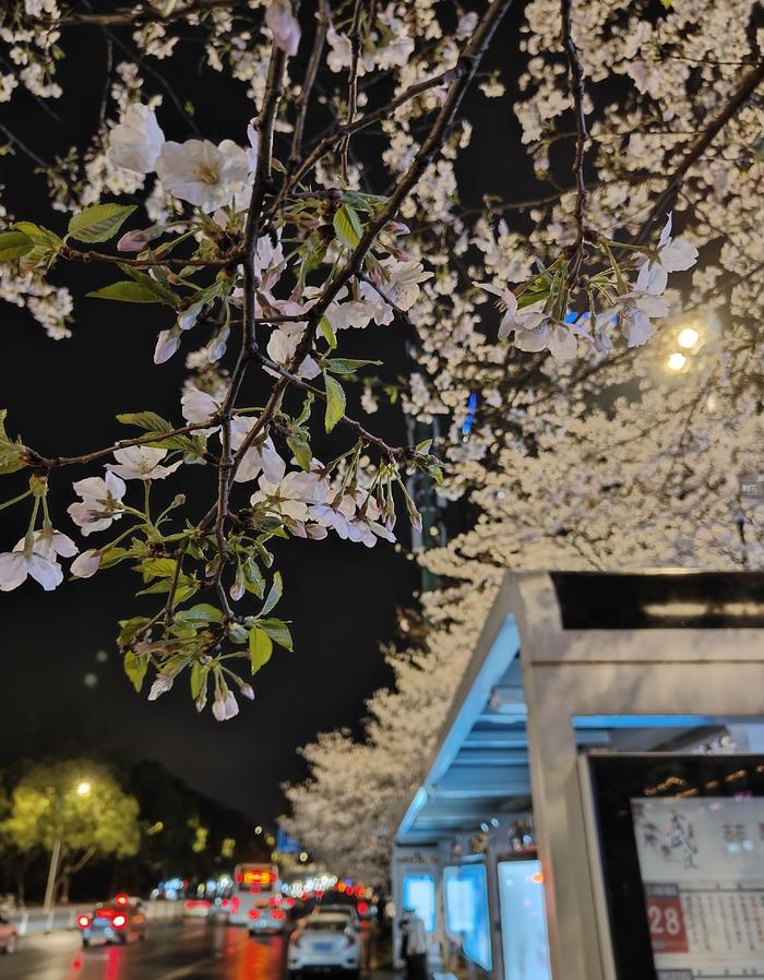 游戏产业的春天来了吗？